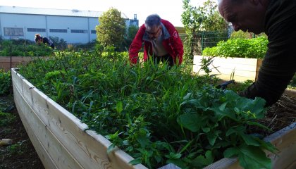 Atelier participatif du jardin nourricier de la rue du Crosne