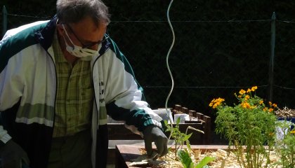 Atelier de remplissage, semis et plantations des bacs surélevés.