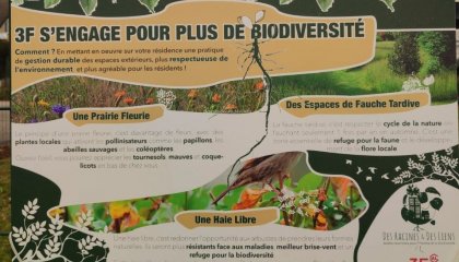 Bonjour à toutes et à tous ! Aussi important que les jardins nourriciers pour l'Humain , les  (...)