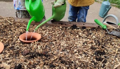 Bonjour à toutes et à tous !  Premières plantation et semis sur le potager de la rue  (...)