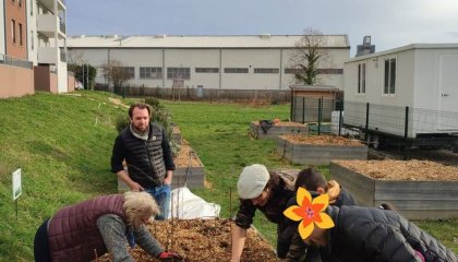 Bonjour à toutes et à tous !  Nous étions de retour vendredi dernier sur le jardin de la rue du  (...)