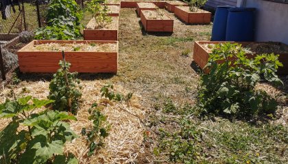 Le jardin nourricier de Jarny