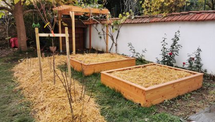 Aménagement de jardin comestible Nancy